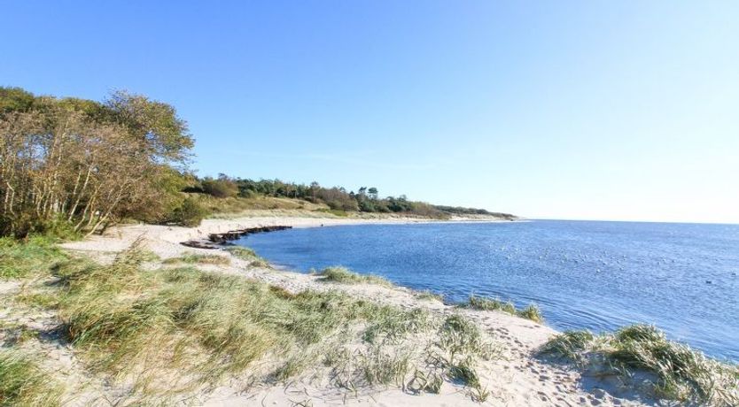 Photo of "Roir" - 250m from the sea