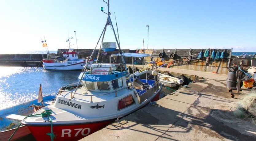 Photo of "Roir" - 250m from the sea