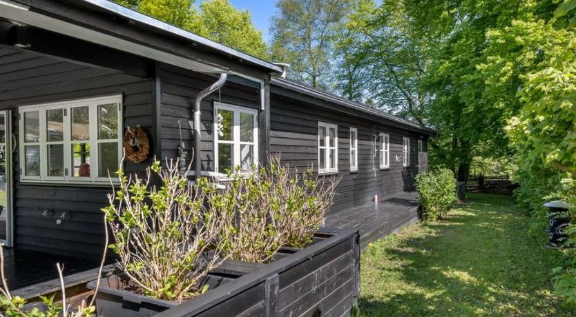 Photo of "Christin" - 275m from the sea