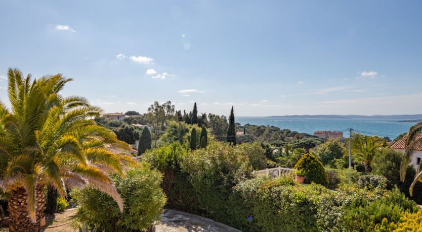 Photo of Les Cigales