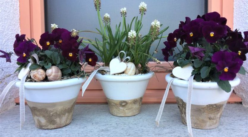 Photo of Ferienwohnungen Senda 495D