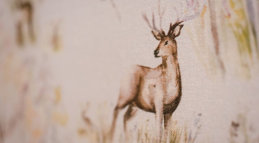 Photo of Drover's Lodge