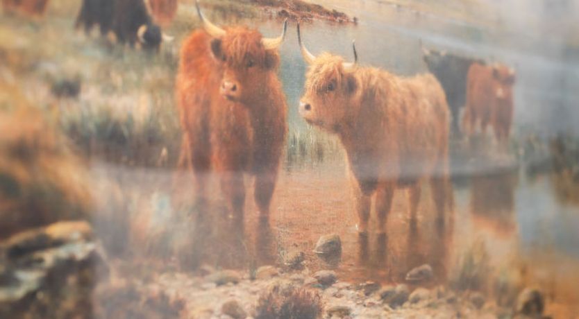 Photo of Drover's Lodge