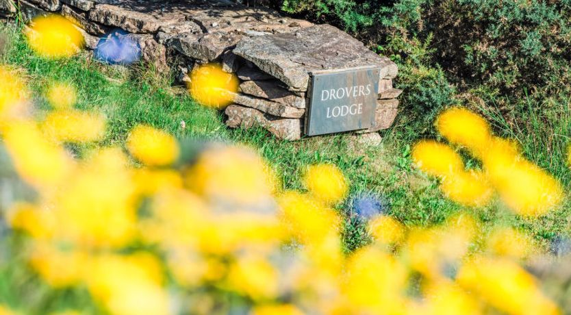 Photo of Drover's Lodge