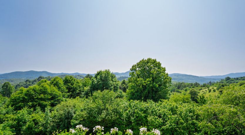 Photo of Cosy Home D&D