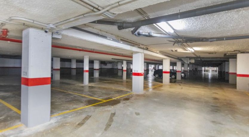 Photo of Torrenova IV