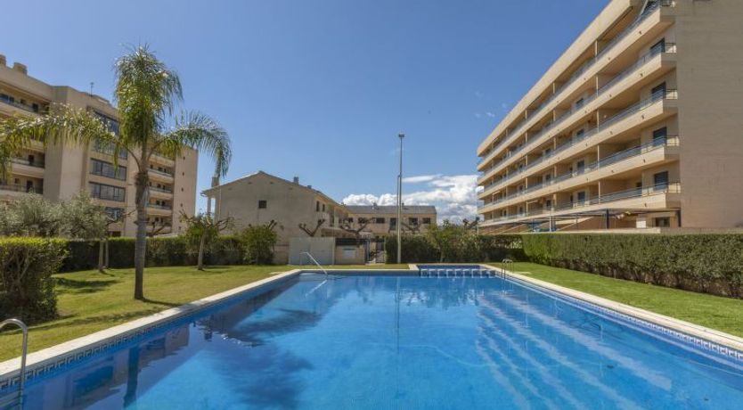 Photo of Torrenova IV