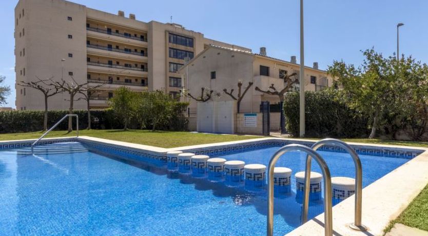 Photo of Torrenova IV