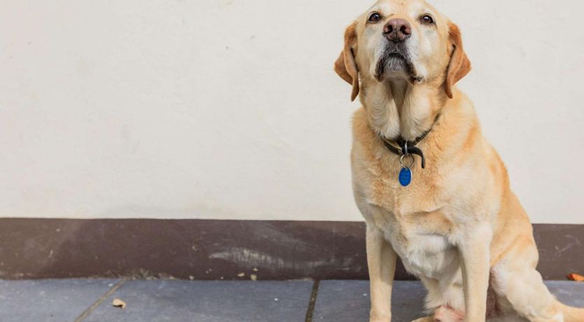 Photo of 2 Bed in Woolacombe