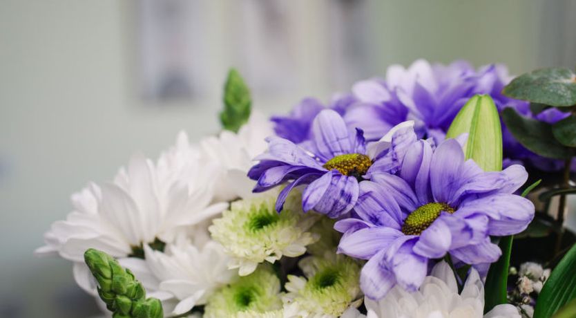 Photo of Shore Street