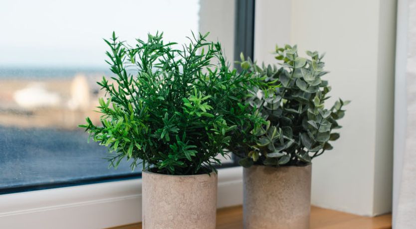 Photo of Shore Street