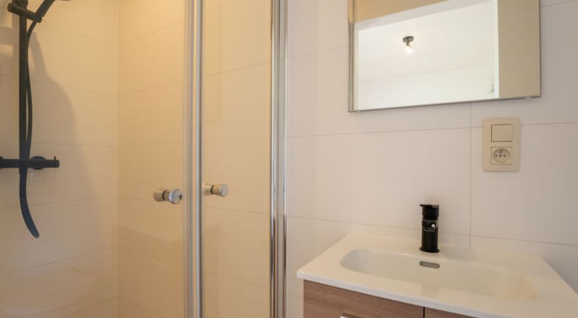 Photo of New dahlia park 6