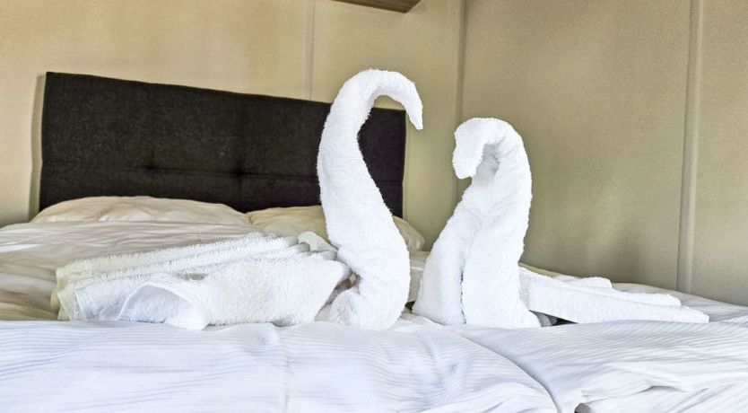 Photo of Tiny Haus Benjamin Holiday Home 16