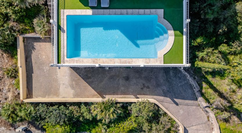 Photo of Los Limoneros