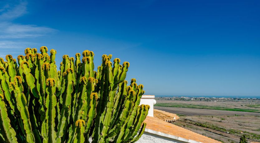 Photo of Los Limoneros