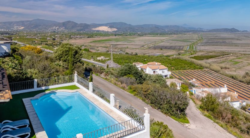 Photo of Los Limoneros