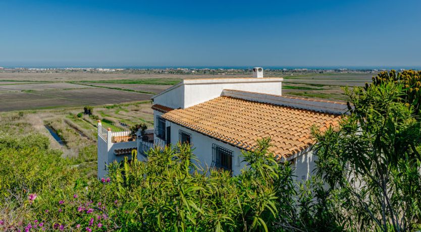 Photo of Los Limoneros