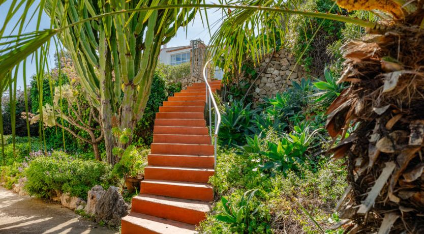 Photo of Los Limoneros