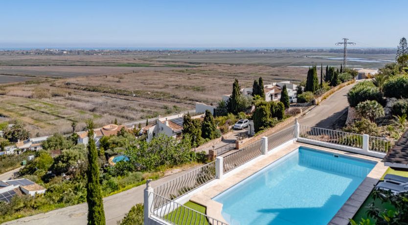 Photo of Los Limoneros