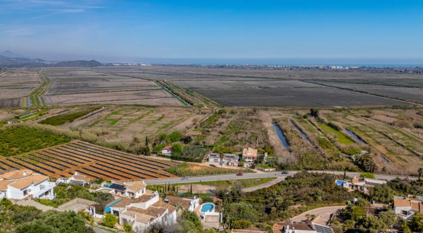 Photo of Los Limoneros