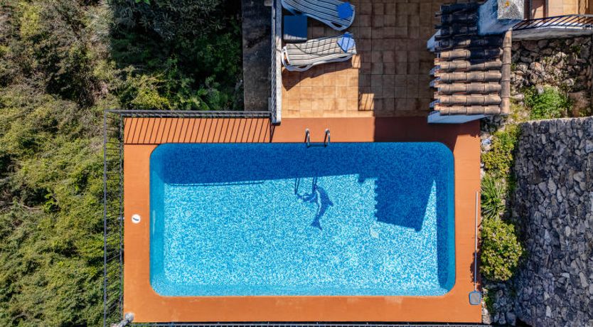 Photo of Los Delfines