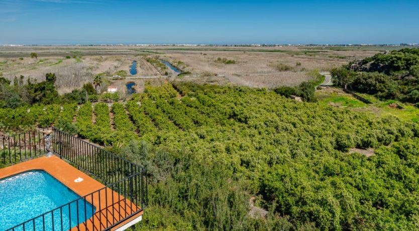 Photo of Los Delfines