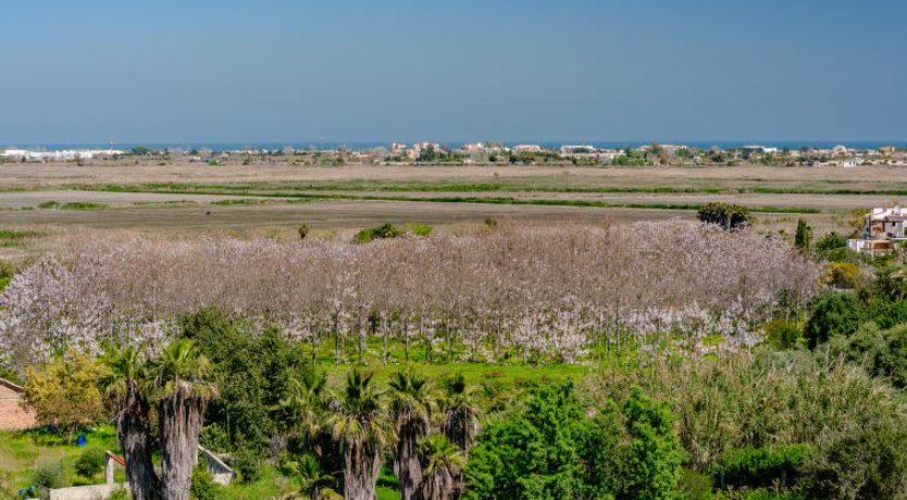 Photo of Los Delfines