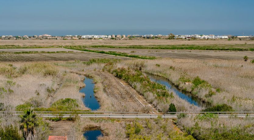 Photo of Los Delfines
