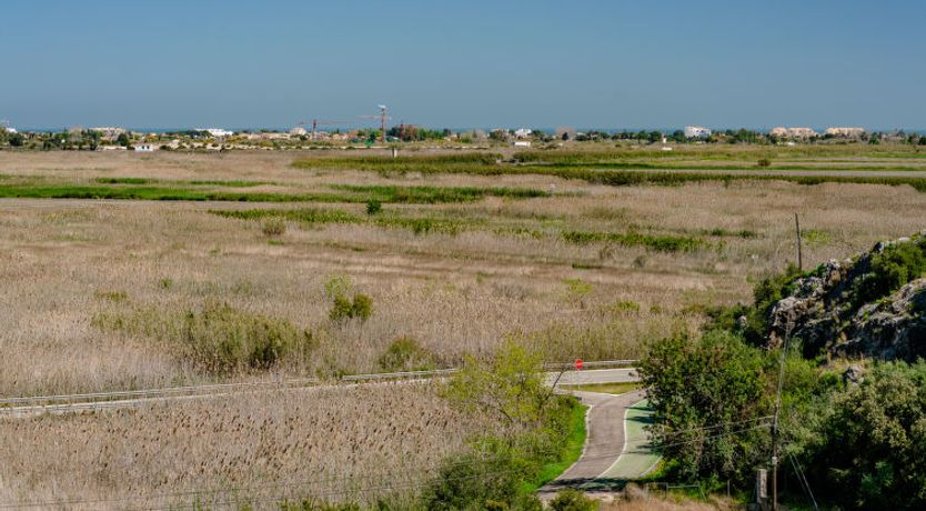 Photo of Los Delfines