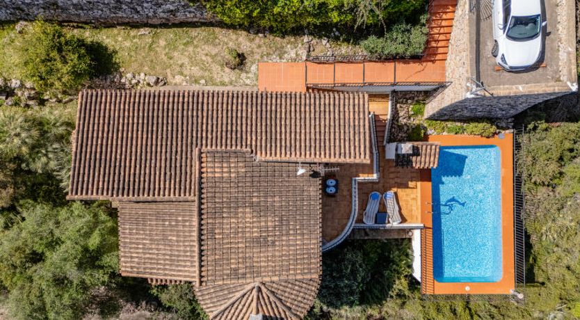 Photo of Los Delfines