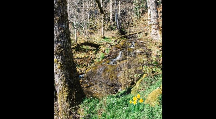 Photo of Farmburn Bothy