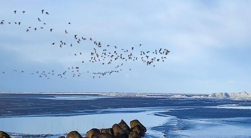 Photo of "Gertrud" - 950m to the fjord