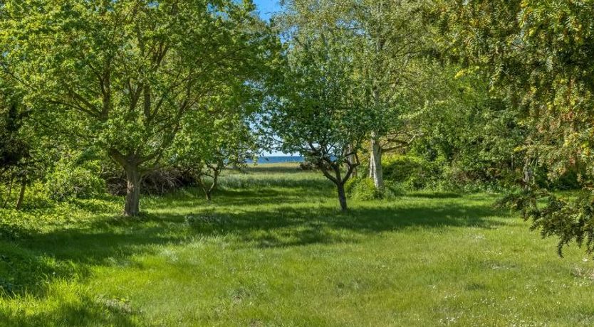 Photo of "Waltraud" - 50m from the sea