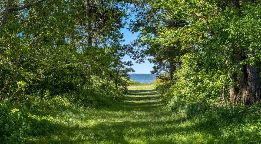 Photo of "Waltraud" - 50m from the sea