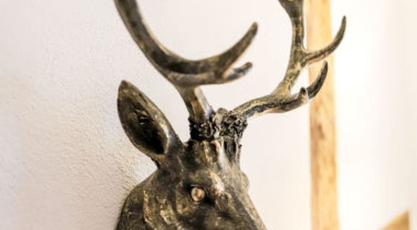 Photo of Friedrich-Wilhelm II Apartment 3