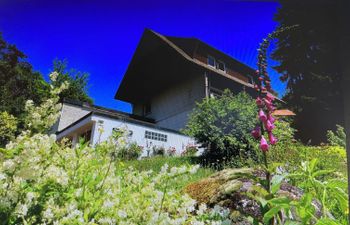 Blackforestbirdnest Holiday Home