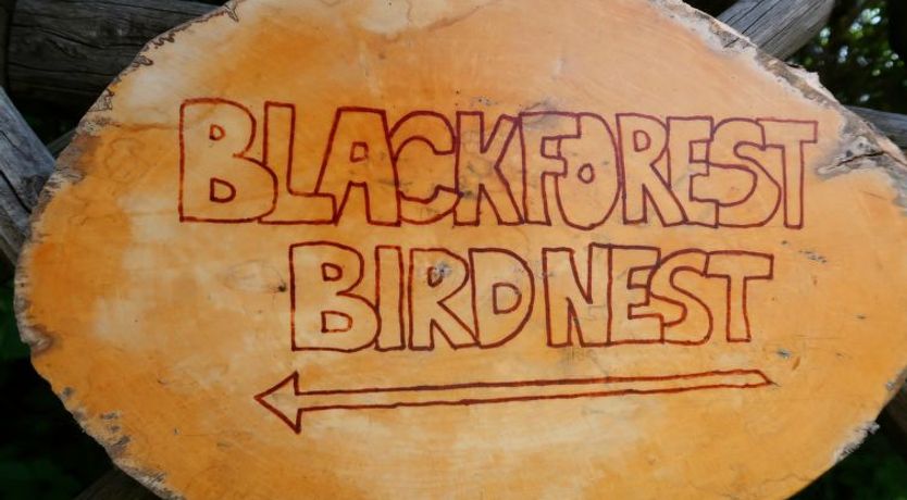 Photo of Blackforest Birdnest