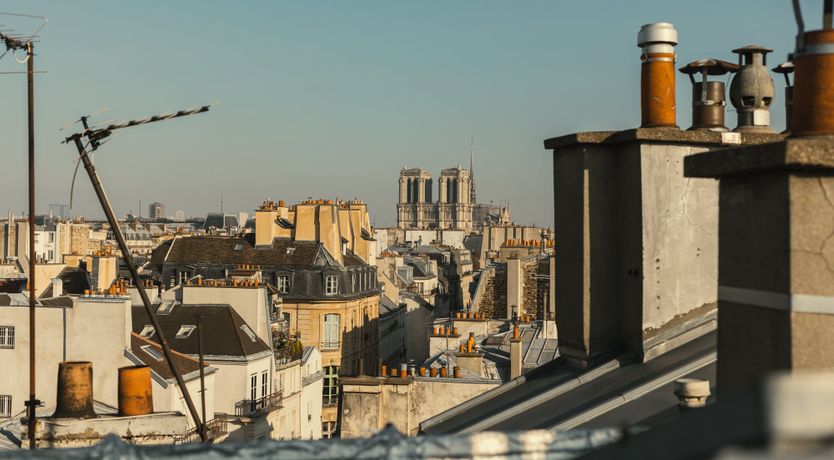 Photo of Walnut Forest