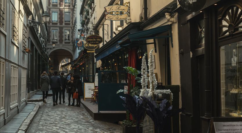 Photo of Walnut Forest