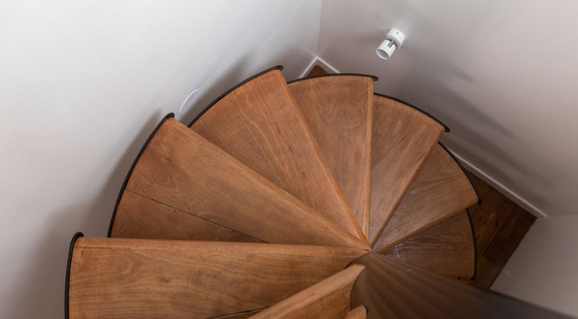 Photo of Walnut Forest