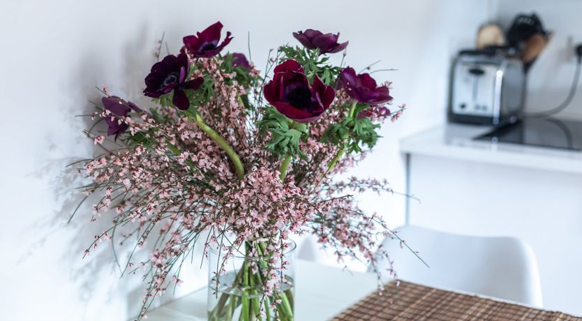 Photo of Walnut Forest