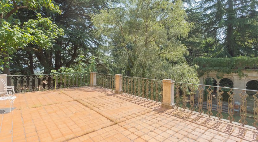 Photo of Timeless Love