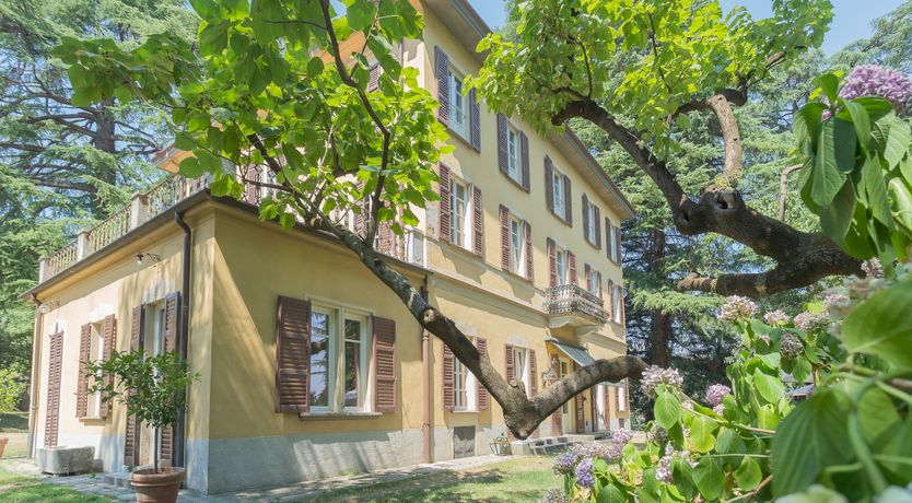 Photo of Timeless Love