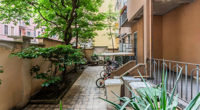 Photo of Milan Melody