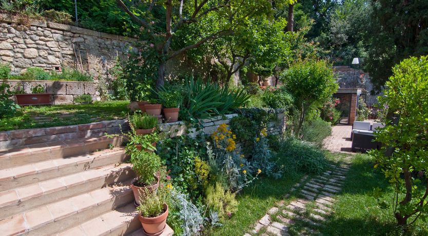 Photo of The Ruby Rose