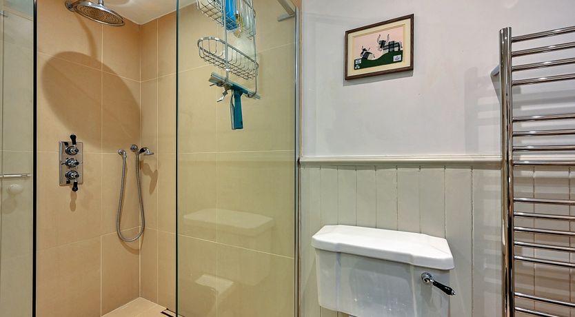 Photo of Emerald Ash