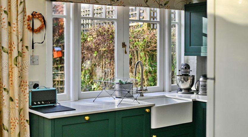 Photo of Emerald Ash