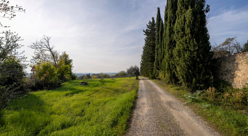 Photo of Cypress Drive