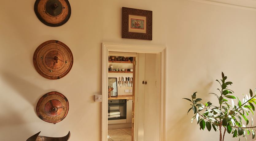 Photo of The White Fox