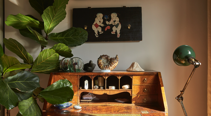 Photo of The White Fox